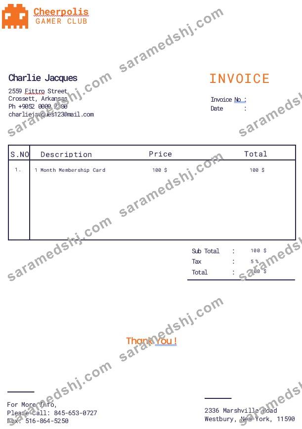 Gaming Company Invoice Template